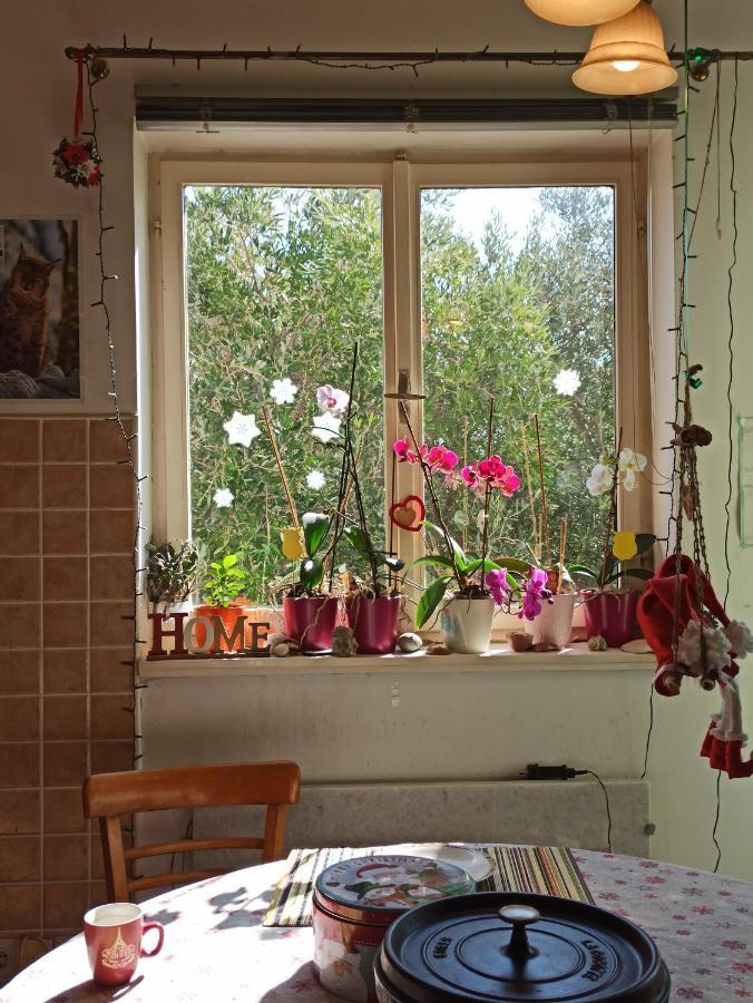 Maslinov Hlad Daire Barbat na Rabu Dış mekan fotoğraf